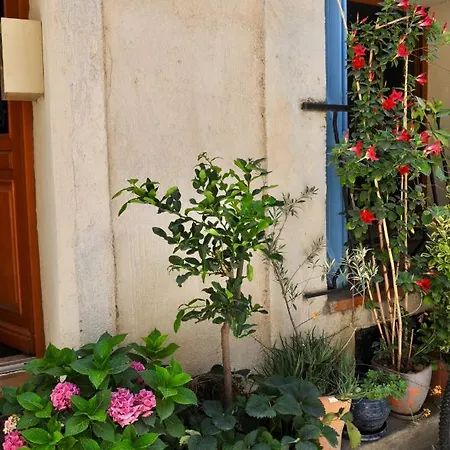 Loft , La Terrasse Centre D'arles, Отель типа 