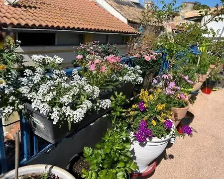 Loft , La Terrasse Centre D'arles,