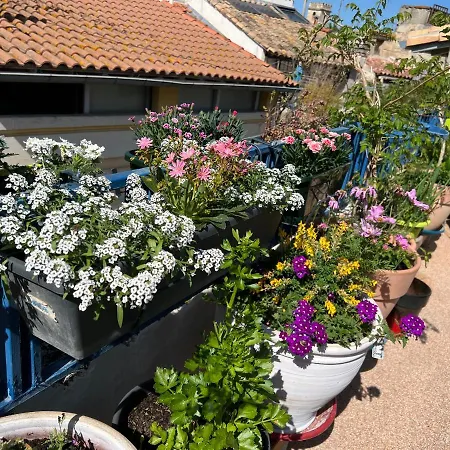 Loft , La Terrasse Centre D'arles, Bed & Breakfast 2*